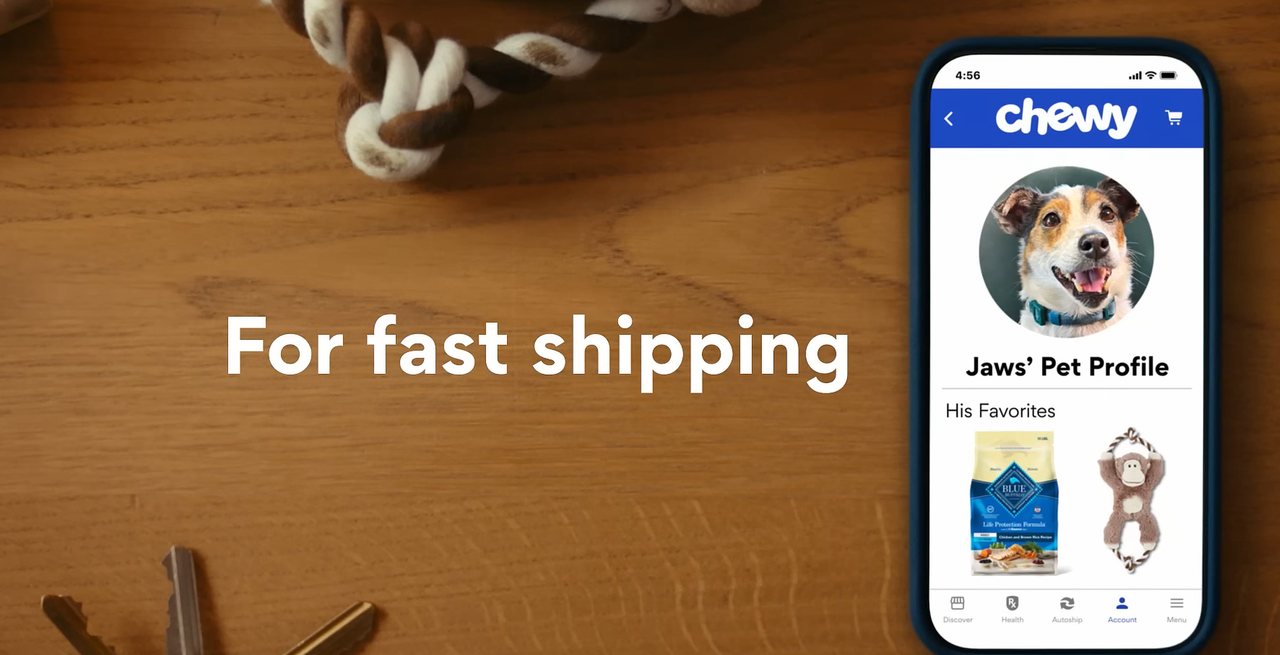 用AI把宠物主变成每月付费会员跨境电商学什么-宠物电商
